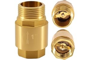 Begonia 1 Zoll Messing Rückschlagventil, Rückflussverhinderer 1 Zoll IG zu AG, Rücklaufventil mit Innengewinde und Außengewinde 1'', Rostfrei und Wasserdicht für Pumpe, Garten, Waschmaschine, Fass