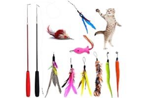 AUTOAU 11Pcs Giochi per Gatti, Giochi Gatti Interattivi con 2 Bacchetta Telescopica, Giochi Gatto con Piume/insetti/pesci con campane, Colori Brillanti – Giocattoli per Gatti e Gattini Attivi (11pack)