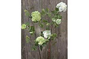 ‎ARTPLANTS artplants. DJAMILA Artificial Snowball, White/Green, 75 cm, Diameter 4-8 cm, Artificial Branch Snowball