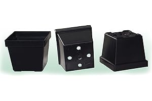 UNSERE-GAERTNEREI-MUELLER 6,5cm x 6,5cm x 6cm Vierkanttöpfe, Anzuchttöpfe, Pflanztöpfe, Saattöpfe, Blumentöpfe, Platiktopf (100 Stück)