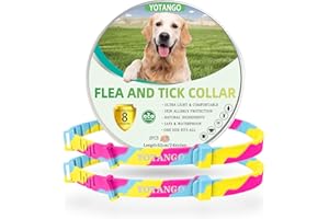 YOTANGO Collares Antiparasitario para Perros, Collar de Pulgas y Garrapatas Ajustable e Impermeable, con 8 Meses de Protección Natural para Cachorros Grandes-Arcoíris