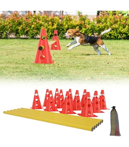 RHINOS Sports Lot De 4 Obstacles à Emboîter - 22,5 Cm - Jaune