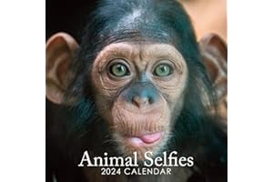ROCHLI 2024 Animal Selfies 12" x 12" Square Hanging Wall Calendar - No Plastic - Planner, Funny, Humorous, Cute, Organiser, Home, Family, Schedule, Agenda, Gift