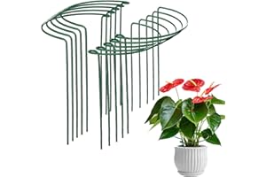 XIEXIESHER Pack of 10 Plant Supports, Garden Plant Stakes, Metal Semi-Circular Green Plant Supports for Vegetables, Tomatoes, Peonies, Roses, Hydrangeas, Flowers (35 x 20 cm)
