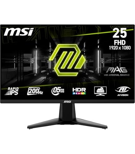 MSI G241, 24