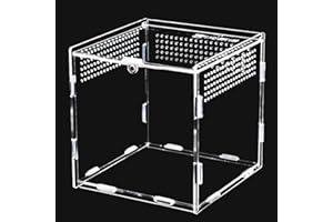 Keweni Feeding Box, 360 ° Transparent Acryl Terrarium Behälter für Spide, Skorpion, Käfer, Gottesanbeterin, Reptilien Lebensraum