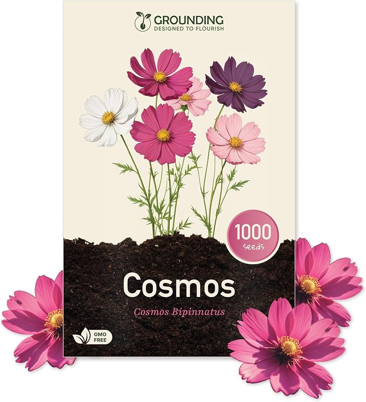 Grounding - Semillas de Cosmea Mix blanco, rosa y fucsia, 1000 semillas, altura 80–120 cm. Cosmos bipinnatus es ideal para parterres y flores cortadas - Siembra fácil, Calidad Europea