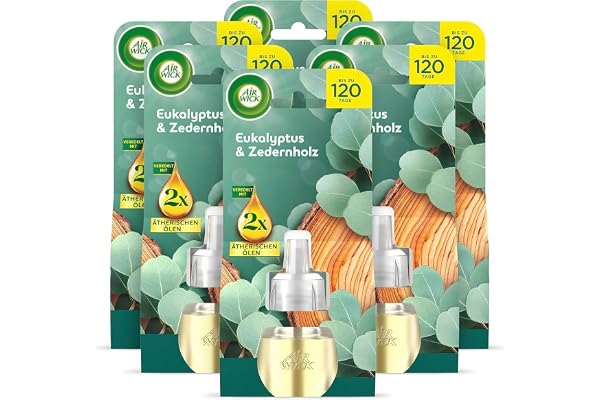 Air Wick doftplugg påfyllning – doft: eukalyptus och cederträ – träig fräsch rumsdoft för eluttaget – 6 x 19 ml doftoljeflaska, påfyllning