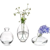Kleine Glazen Tafel Middenstukken Bloemen Vaas,Glas 32 Stuks Vintage Mini Bud Zoete Erwt Vazen Set Geslepen Kristalheldere Smalle Hals Flessen Voor Rozen Pampagras Bruiloft Woonkamer Eetkamer Kleine Glazen Tafel Middenstukken Bloemen Vaas,Glas 32 Stuks Vintage Mini Bud Zoete Erwt Vazen Set Geslepen Kristalheldere Smalle Hals Flessen Voor Rozen Pampagras Bruiloft Woonkamer Eetkamer