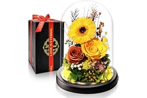 Touloube Weihnachten Geschenke Ewige Rose & Gerbera im Glas I Eternal Infinity Rose Geschenk Romantisches Blumen-Geschenkset mit LED I Perfekt für Frau, Mama & Oma I Hochzeit, Valentinstag, Jahrestag