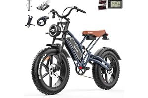 LUNOS X50 Electric Bike for Adults with 20'' Fat Tyres, 48V 14/17Ah Removable Battery & 250W Motor, 7-speed Electric Bicycle with LCD Smart Display NFC Card & Indicators, Off Road Ebike for Adults commuting