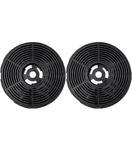 GASLAND Filtro de carbón activo CF133N1 (x2), adecuado para los modelos comprados antes de 2025 SR60SS/SR60BS, modelos UC60SS/UC60BS/SR60BP/SR60SP, filtro de repuesto original GASLAND Filtro de carbón activo CF133N1 (x2), adecuado para los modelos comprados antes de 2025 SR60SS/SR60BS, modelos UC60SS/UC60BS/SR60BP/SR60SP, filtro de repuesto original