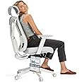 Desktronic Adjustable Ergonomic Office Desk Chair with lumbar support - Back-friendly/Back Pain-free - Computer Chair Height-Adjustable & Back-Protecting -Wide cushion SitPro (Gray)