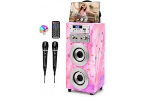 DYNASONIC Bärbar karaokemaskin, 2 mikrofoner, Bluetooth-högtalare, lampor, USB och SD-läsare, present för barn i åldrarna 5 till 13 år
