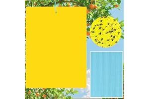 YARUJING 40 Lavagne Gialle Per Insetti Trappole Adesive Per Insetti Trappole Adesive In setti Carta Moschicida Gialla a Doppia Per Mosca Bianca,Mosca Della Frutta,Afidi,Minatori Fogliari,Cicaline