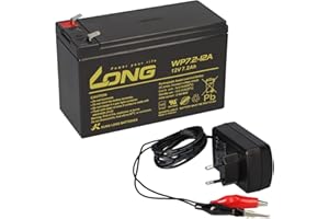 WSB AGM Batterie au plomb 12 V 7,2 Ah compatible avec UPS BILGEL 7 Ah + chargeur