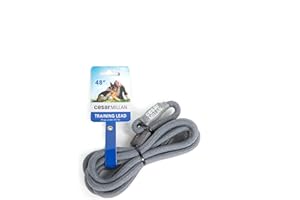 Cesar Millan Nylon Training Lead™ Smycz treningowa dla psów – obroża i smycz dla psa 2 w 1 regularna, szara