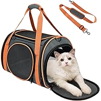 cat carry bag amazon