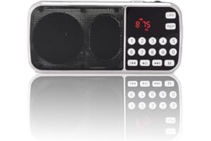 HAKEETA Y-501 Haut-Parleur numérique Portable Lecteur Audio Radio FM avec écran LED et Support de Lampe de Poche Carte TF/USB/AUX