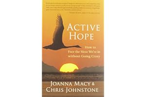 Active Hope: How to Face the Mess We're in without Going Crazy