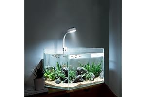 BigTron Full Spectrum Aquarium Light, Small Clip Light for Fish Tank with 2 Blue 10 White LED, 5W Brightness, for 3-5mm Thick (White)