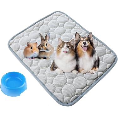Pawstrip Hundebett – Weiches Plüschbett Mit Memory-Foam, Quadratisch, Rutschfeste Unterseite, Abnehmbar & Waschbar Für Käfig Oder Wohnung