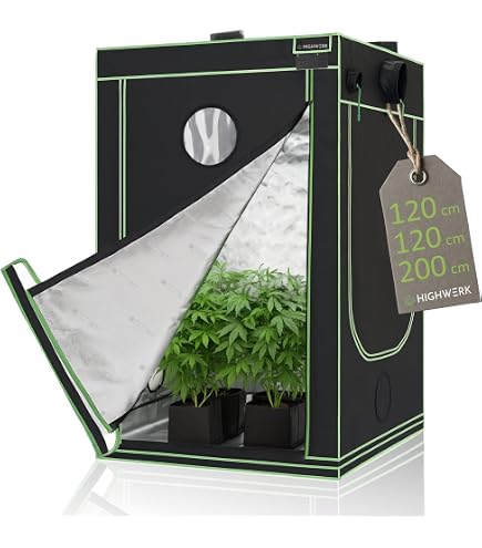 homebox grow tent review Ambient 120 x 120 x 200 cm Größe:3 x 6 Dachzelt Sauerland on Reels highly functional line of DI/Amp-Sim