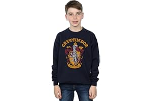 ABSOLUTE CULT Harry Potter Garçon Gryffindor Crest Sweat-Shirt