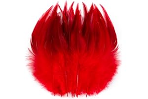 Holmgren Red Craft Rooster Feathers - 200pcs 5-7inch Rooster Feather Bulk for Wedding Home Party, Dream catchers and DIY Crafts (Red)