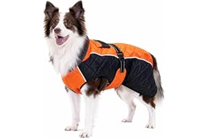 BECROWM Dog Coat Dogs Winter Coat Fleece Lined,Water-Resistant,Convertible Collar,Back Reflective Strip&Easy to Wear for Outdoor Walking Dog-Jacket(Orange, Medium)