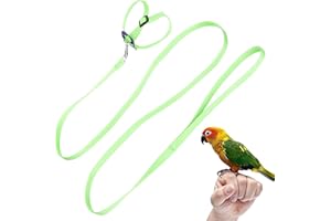 FYBIDA Pet Parrot Bird Harness Guinzaglio Regolabile Bird Flying Harness Corda di Trazione per Pappagalli Piccioni Budgerigar Outdoor Training Toy(verde)