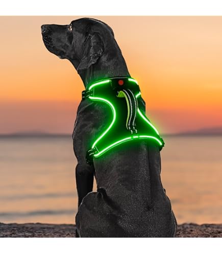 Noxgear LightHound Led-hondentuig: Je hond zichtbaar in het donker Noxgear LightHound Led-hondentuig: Je hond zichtbaar in het donker