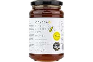 Odysea Pine and Fir Tree Honey, 480g