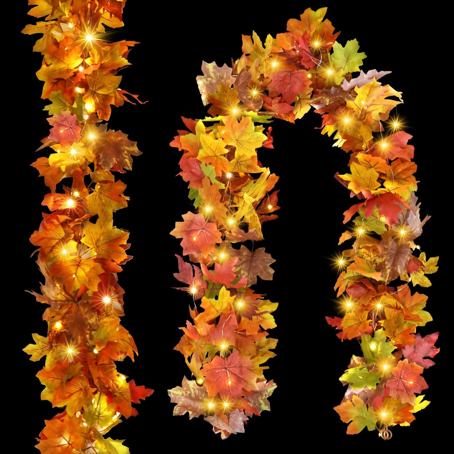 Vue 11