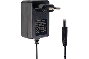 Chargeur de batterie 24 V pour jouets électriques pour enfants - Chargeur de batterie 24 V - Pour voiture, SUV, moto, ATV - Accessoires