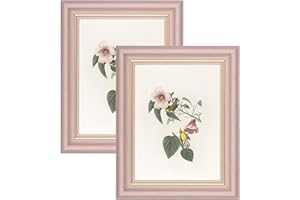 YoHyien Set di 2 Cornici Foto Vintage 15x20 cm, Cornici Portafoto Shabby Chic da Parete e Tavola, Quadro Portafoto Decorative da Appendere Al Muro, Orizzontale e Verticale (Rosa, 15 x 20 cm)