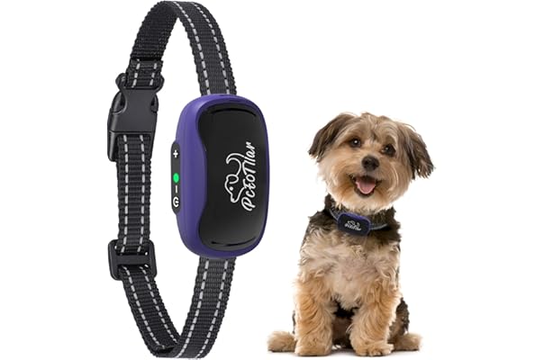 most powerful bark collar