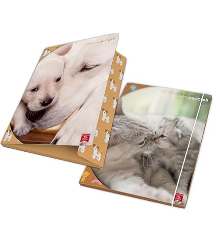 Cartelline 3 Lembi Con Elastico Marilyn - 4 Fantasie, Dorso 1 Cm, Made In Italy - Foto 14