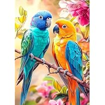GDYEEH 5D Diamond Painting Set – Bunte Vögel, DIY Diamantbild Zum Entspannen, 30x30 Cm