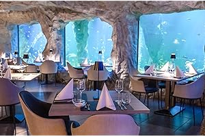 ‎JOCHEN SCHWEIZER JOCHEN SCHWEIZER Geschenkgutschein: Gourmet-Menü im Unterwasser-Restaurant in Neuwied für 2