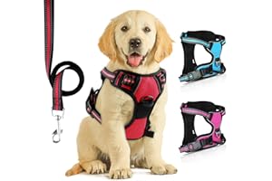 SIBOTER Harnais pour Chien sans Traction avec Laisse,Parfaitement Respirant Ajustable Harnais Avant réfléchissant,idéal pour Les Petits Chiens de Taille Moyenne, entraînement en Plein air (Rouge Foncé, M)