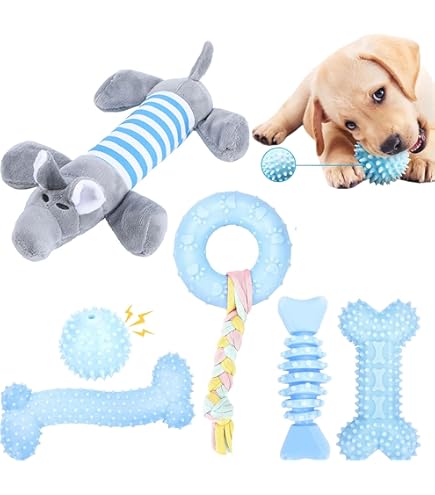 Brosse à Dents Pour Chien, Jouet à Mâcher Interactif, Masseur Oral Pour Chien, Jouet En