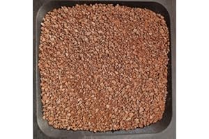 AlmaStore, Lapillo Vulcanico Rosso per Piante Grasse | Giardino | 3/5 mm - 5/10 mm - 10/15 mm | 1 kg (1,1 Litri), 5 kg (5 Litri), 10 kg (10 Litri) | Lava vulcanica (3/5 mm, 5 kg (5 Litri))