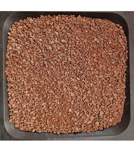 Sabbia Fine Argan 0-4 Per Terrari E Acquari - 2.5kg Per Drenaggio Piante, Decorazione E Rettili - Foto 8