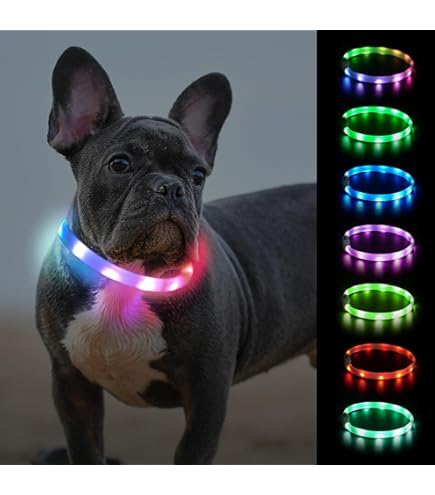 LED Leuchthalsband Hund & Leine Set - Aufladbar Mit 500m Sichtweite