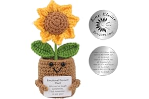 KQWVZ Pocket Hug Positive Sonnenblume, Positive Potato Und Glücksbringer(Silber), Emotional Support, Positive Kartoffel, Mutmacher Geschenk, Gute Besserung Geschenk,Geburtstagsgeschenk