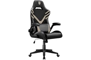 LXRADEO Gaming Chair Ergonomic Racing Style Recliner with Massage Lumbar Support, Office Armchair for Computer PU Leather E-sports Gamer Chairs with Flip-up Armrest Black and White.
