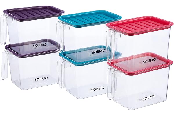 Amazon Brand - Solimo Plastic Multi-Purpose Fridge Storage Container with Handle & Lid I Fruit & Vegetable Basket I BPA Free