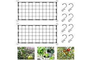 CHICHI:OÜ 2 Stück Ranknetz 120x60 cm – Elastisches Stabiles Pflanzennetz für Kletterpflanzen mit 8 Rostfreien Haken Perfektes Grow Netz und Scrog Netz für Tomaten, Gurken, Rosen Witterungsbeständiges Gartennetz