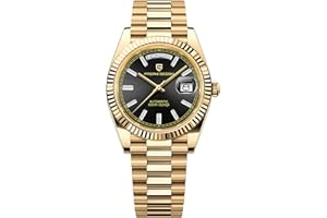 Pagani Design DD36 Herrenuhren Luxus Automatikuhr Herren AR Saphirglas Mechanische Armbanduhr Herren 10Bar ST16 Uhrwerk